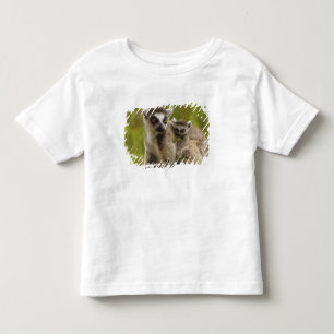 Camiseta Infantil Lêmures de cauda anelada (Lemur catta) Mãe e bebê.