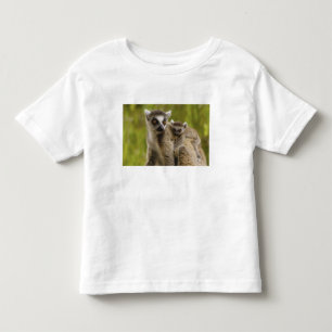 Camiseta Infantil Lêmures-de-cauda-anelada (Lemur catta) Mãe e bebê.