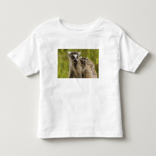 Camiseta Infantil Lêmures-de-cauda-anelada (Lemur catta) Mãe e bebê. (Frente)