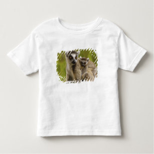 Camiseta Infantil lemurs Anel-atados (catta) do Lemur mãe & bebê