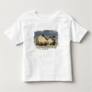 Camiseta Infantil Leões do Mar da Austrália, Neophoca cinerea),
