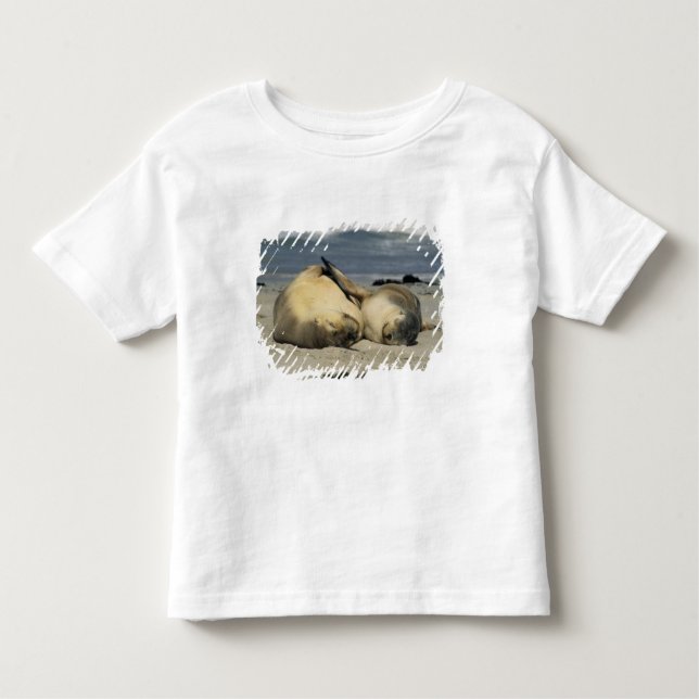 Camiseta Infantil Leões do Mar da Austrália, Neophoca cinerea), (Frente)