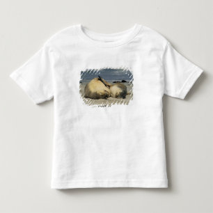 Camiseta Infantil Leões-Marinhos Australianos, Neophoca cinerea),