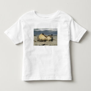 Camiseta Infantil Leões-marinhos australianos, Neophoca cinerea),