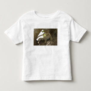 Camiseta Infantil Leopardo-africano, Panthera pardus