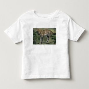 Camiseta Infantil Leopardo, (Panthera pardus), Quênia, Masai Mara
