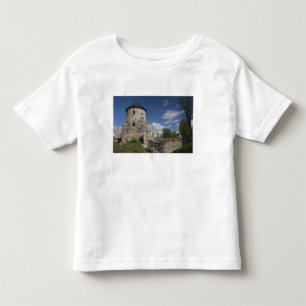 Camiseta Infantil Letônia, Nordeste da Letônia, Região de Vidzeme, 3