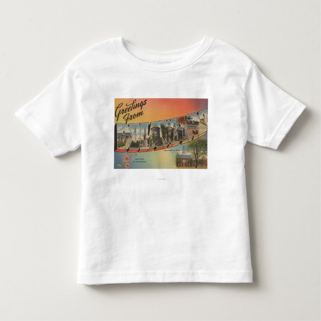 Camiseta Infantil Letra ScenesDelaware de DelawareLarge (Frente)