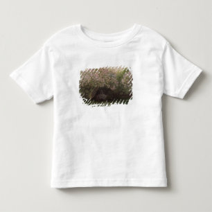 Camiseta Infantil Lilacs de Claude Monet  , tempo cinzento, 1872