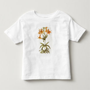 Camiseta Infantil Lilium Penduliflorum, de "Les Liliacees", 1811