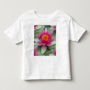 Camiseta Infantil Lily Lily De Água De Lotus Rosa
