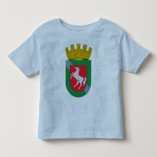 Camiseta Infantil Limache, o Chile