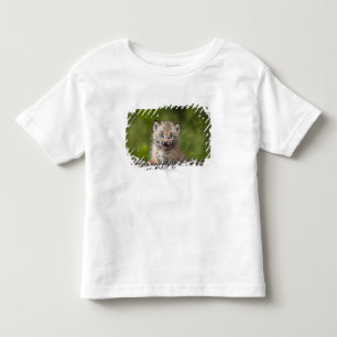 Camiseta Infantil Lince do bebê que olha sobre a árvore caída A