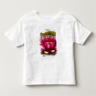 Camiseta Infantil Lírio de água