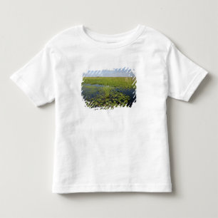 Camiseta Infantil Lírios de água e sawgrass nos everglades da Flórid
