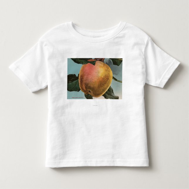 Camiseta Infantil Litografia de Chromo da fruta do inverno branco (Frente)