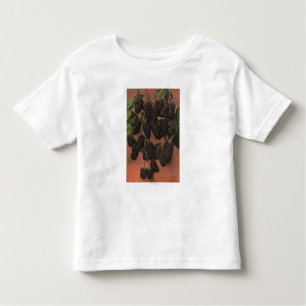Camiseta Infantil Litografia de Chromo da fruta do Mammoth