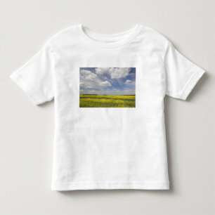 Camiseta Infantil Lituânia, Lituânia Central, Joniskis, campo de