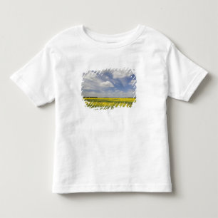 Camiseta Infantil Lituânia, Lituânia Central, Joniskis, campo de