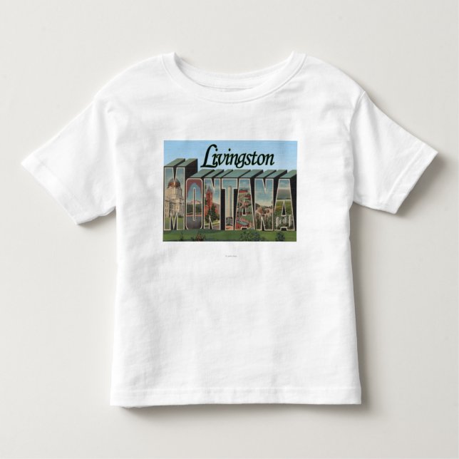 Camiseta Infantil Livingston, Montana (Frente)