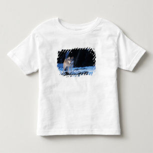 Camiseta Infantil lobo cinzento, Canis lupus, nos contrafortes