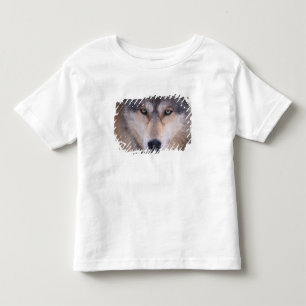 Camiseta Infantil lobo cinzento, lúpus de Canis, fim acima dos olho