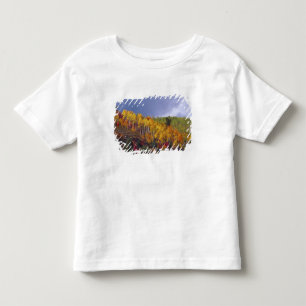 Camiseta Infantil Logan Canyon em Utah no outono com passagem