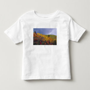 Camiseta Infantil Logan Canyon em Utah no outono com passagem