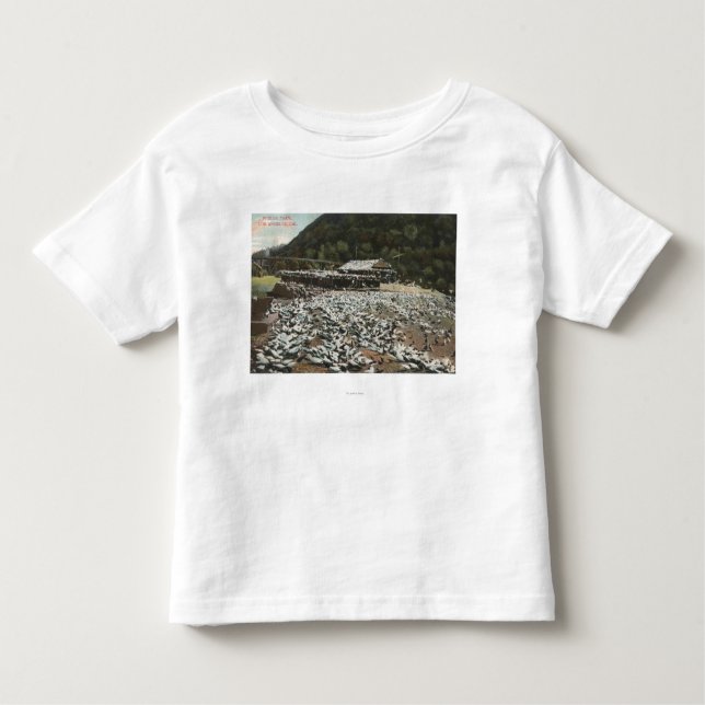 Camiseta Infantil Los Angeles, CaliforniaView de uma fazenda do (Frente)