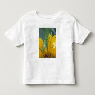 Camiseta Infantil Louva-a-deus fêmea