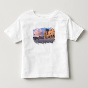 Camiseta Infantil Louvre, Paris, França