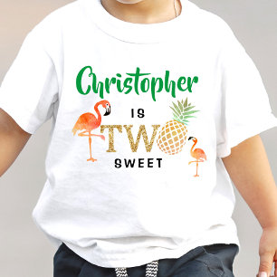 Camiseta Infantil Luau de Praia de Verão Tropical para Meninos 2º An