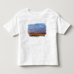 Camiseta Infantil Luz da manhã saúda a Sierra de la Giganta