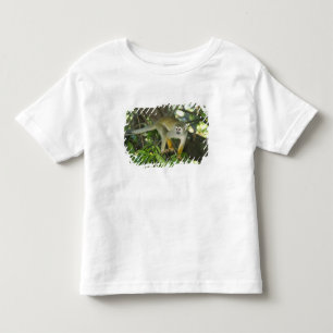 Camiseta Infantil Macaco-de-cheiro-comum, (Saimiri sciureus), Rio