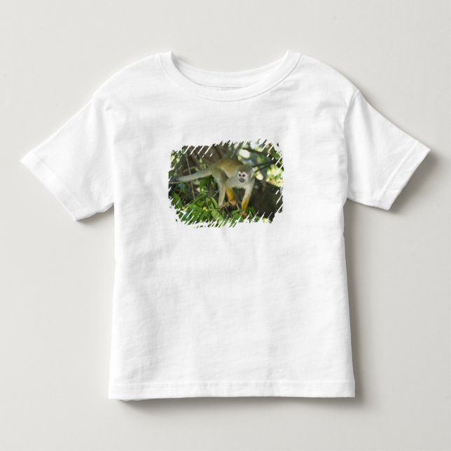 Camiseta Infantil Macaco-de-cheiro-comum, (Saimiri sciureus), Rio (Frente)
