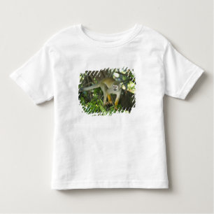 Camiseta Infantil Macaco-Esquilo-Comum (Saimiri sciureus), Rio