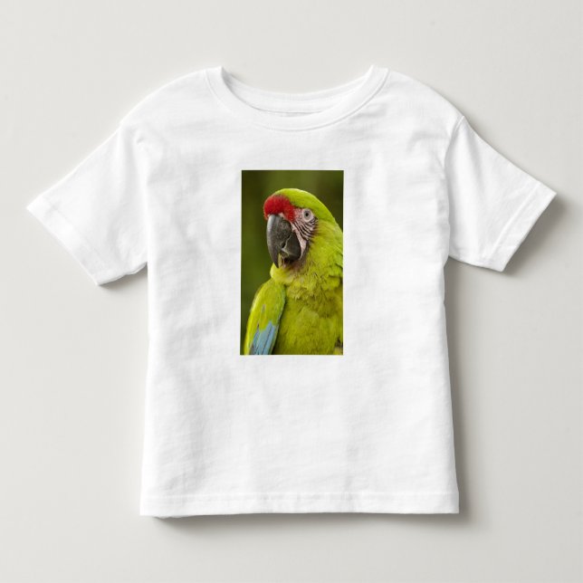 Camiseta Infantil Macaw Militar (Frente)
