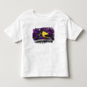 Camiseta Infantil Macho, pintassilgo americano em plumagem de verão,