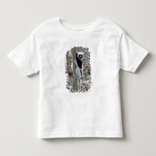 Camiseta Infantil Madagáscar, Reserva de Ankarafantsika; Ampijoroa;
