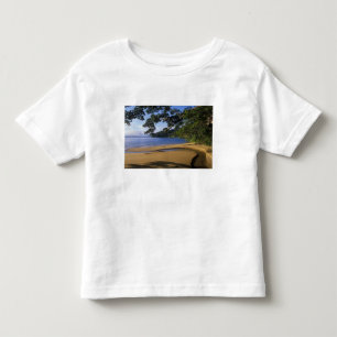 Camiseta Infantil Madagascar, Reserva Especial de Nosy Mangabe, em