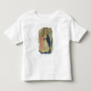 Camiseta Infantil Madonna e a criança enthroned com santos, detalha