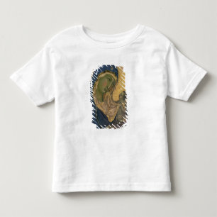 Camiseta Infantil Madonna e criança com SS. Dominic e Aurea