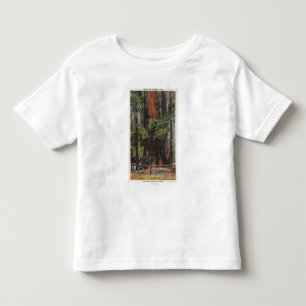 Camiseta Infantil "Mãe" & "filha" no parque grande das árvores