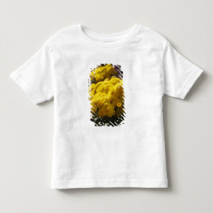 Camiseta Infantil Malmequeres amarelos banham-se na luz solar