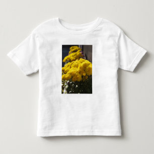 Camiseta Infantil Malmequeres amarelos se banham na luz do sol