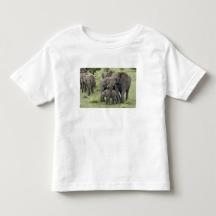 Camiseta Infantil Manada de elefantes africanos, Loxodonta africana,