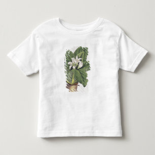 Camiseta Infantil Mandragora da atropa