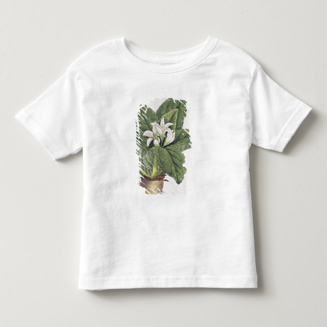 Camiseta Infantil Mandragora da atropa (Frente)