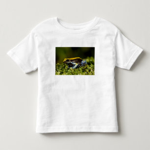 Camiseta Infantil Mantela-de-orelha-preta, Mantella expectata,
