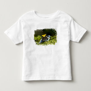 Camiseta Infantil Mantela-de-orelha-preta, Mantella expectata, 2